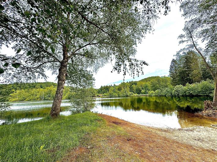 Ferienhaus für 6 Personen, mit Garten und Terrasse, mit Haustier im Dahner Felsenland - 2