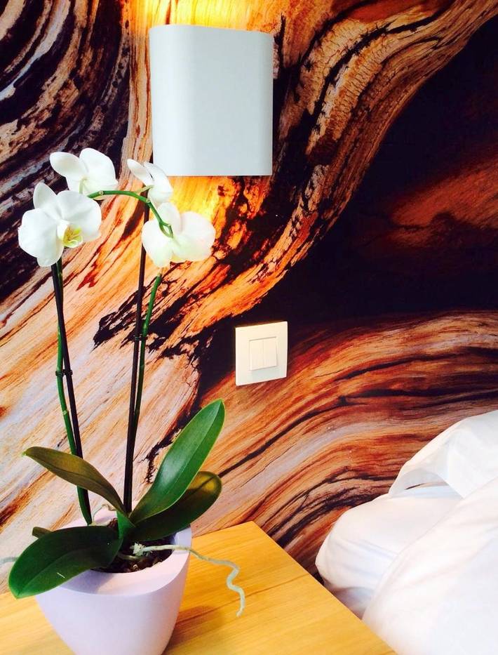Chambre d’hôte pour 2 personnes, avec jacuzzi et jardin sur la Côte belge