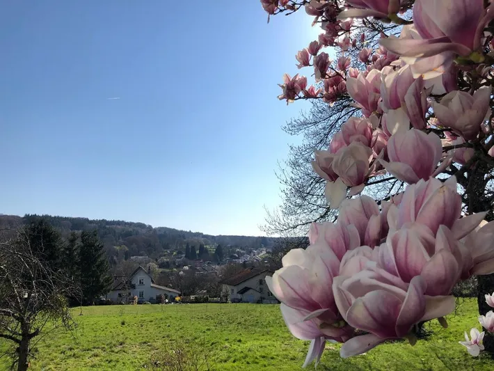 Apartamento de vacaciones para 2 personas, con jardín y vistas, Se admiten mascotas - 1
