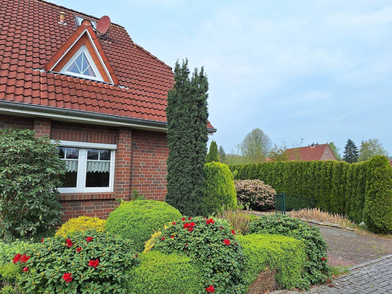 Mövennest in Berumbur, Norden und Umgebung