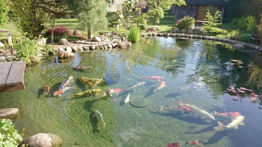 Casa de vacaciones para 4 personas, con jardín - 1