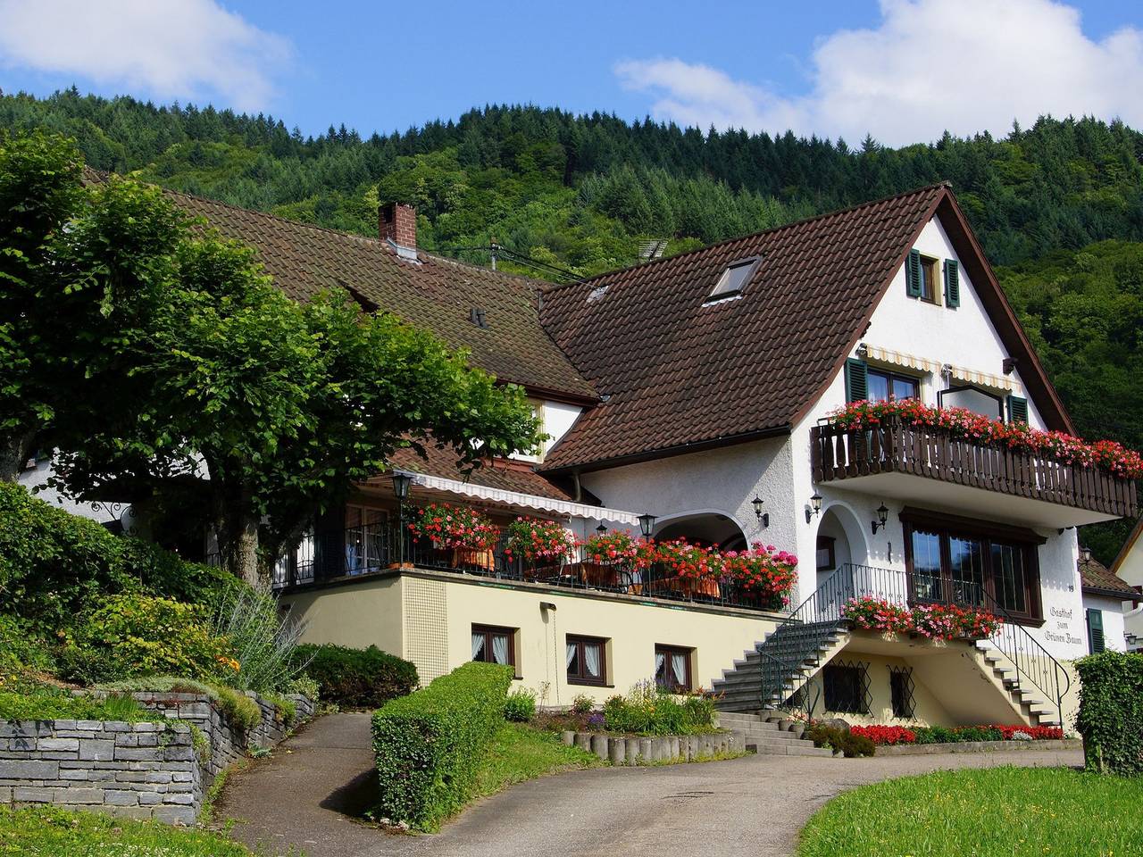 Landgasthof Grüner Baum - Einzelzimmer Nr. 1 mit Dusche / Wc in Lipburg, Badenweiler