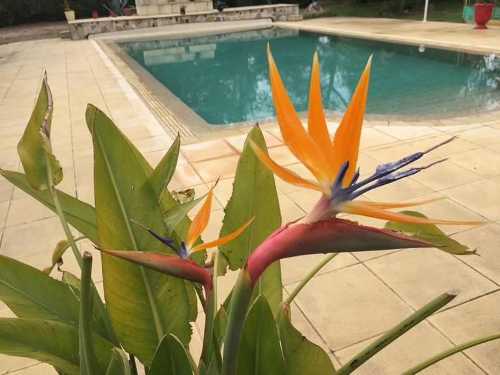 Location de vacances pour 2 personnes, avec Terrasse ainsi que Jardin et Piscine à Le Cannet-des-Maures - 3