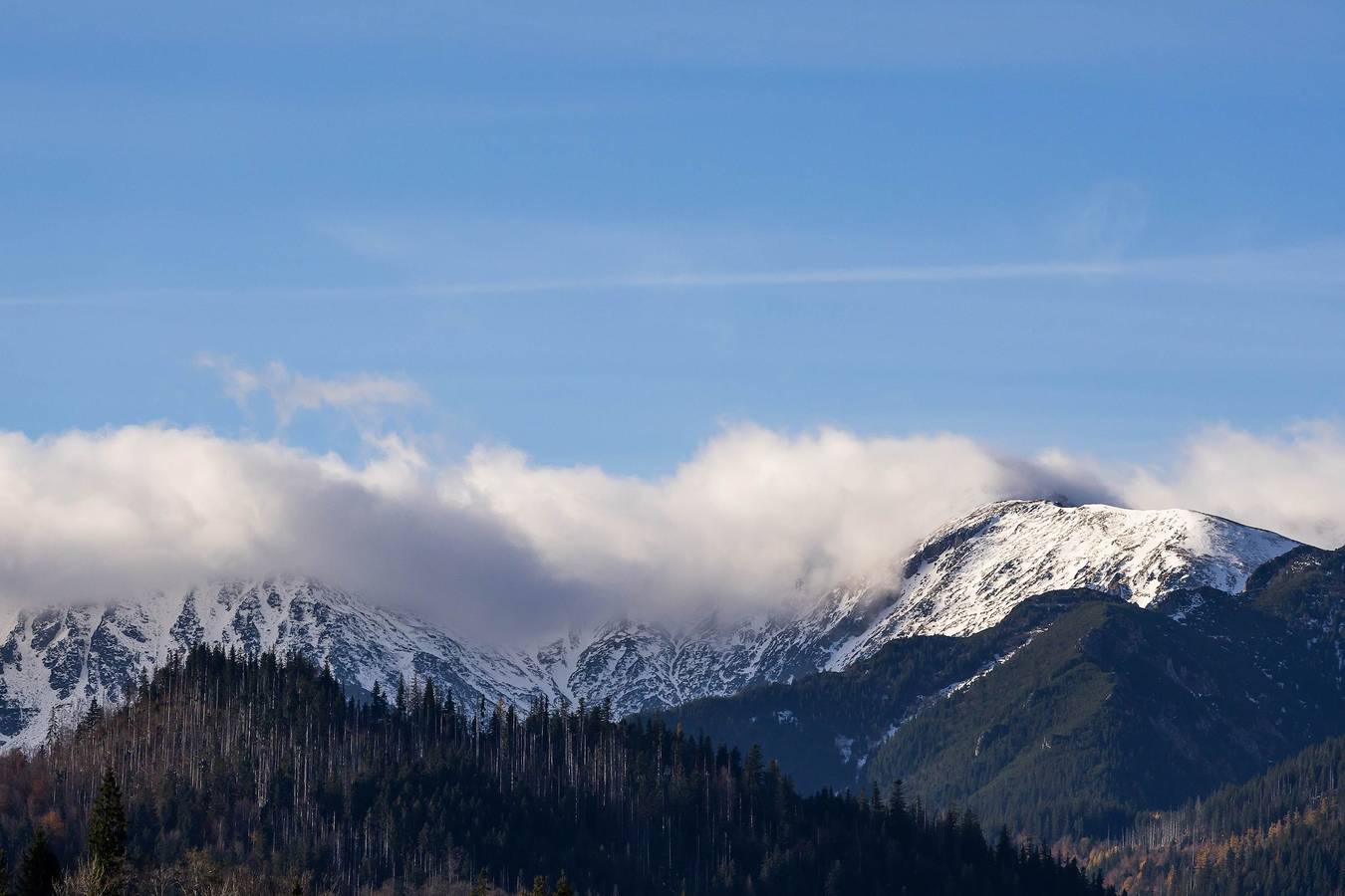 Cały apartament, Apartament wakacyjny dla 4 osób in Murzasichle, Karpaty (Polska)