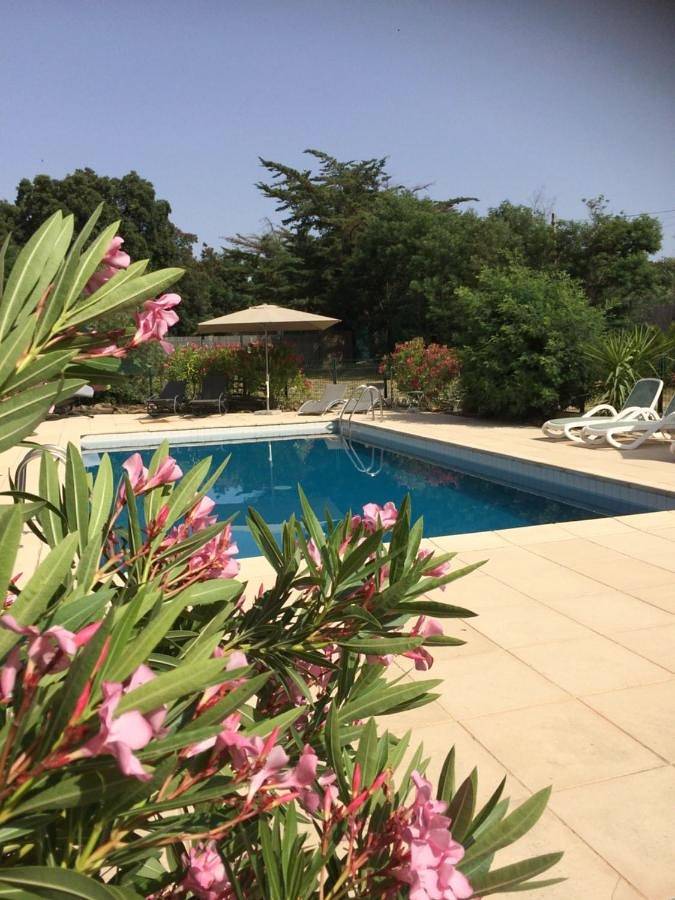 Chambre d’hôte pour 2 personnes, avec vue ainsi que piscine et jardin à Argelès-sur-Mer - 2