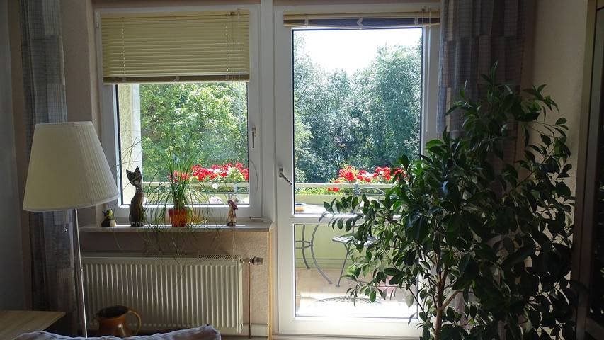 Ferienwohnung für 4 Personen, mit Balkon, mit Haustier in Blankenburg - 2