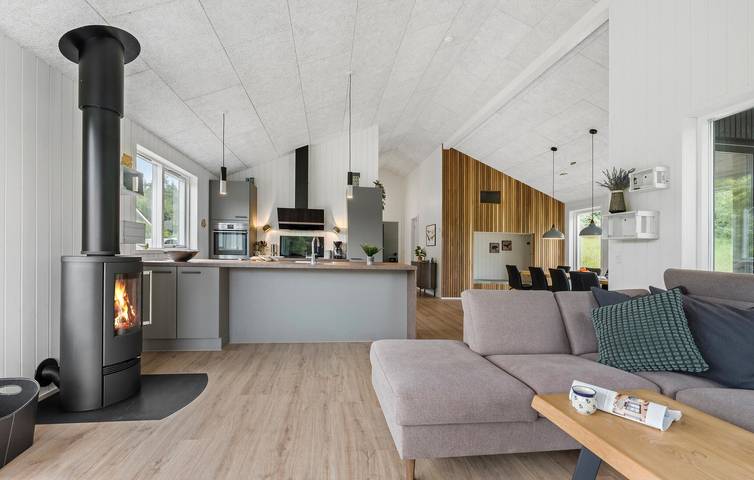 Ferienhaus für 6 Personen mit Terrasse in Silkeborg