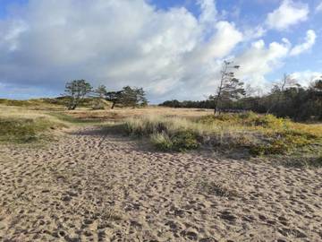 Ferieudlejning til 8 Personer i Vejby, Gribskov, Billede 4