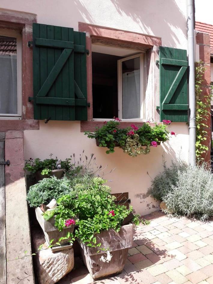 Gîte pour 3 personnes, avec terrasse, animaux acceptés à Bouxwiller