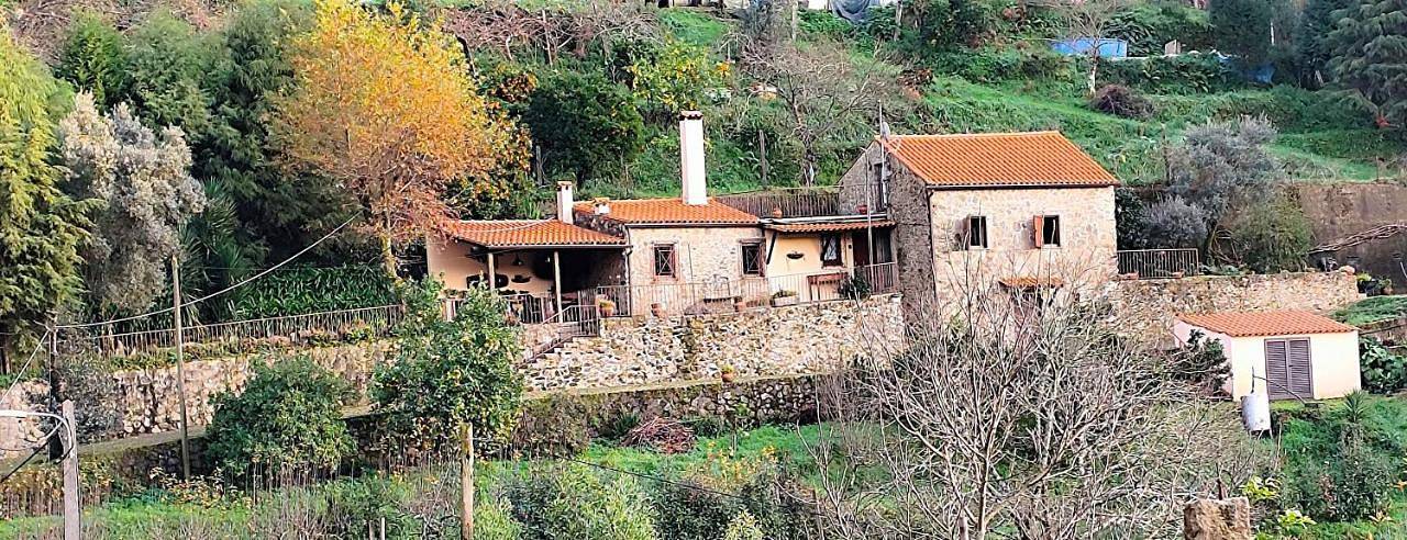 Quinta da Costeira in Silva Escura e Dornelas, Distrito de Aveiro