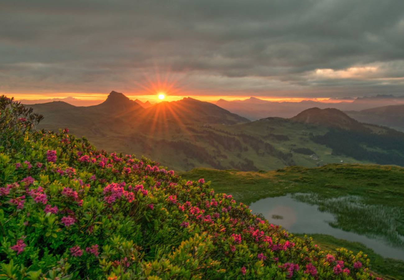 Ganze Wohnung, Hölderle Damüls - Bergblick #03 in Damüls, Bregenzerwald