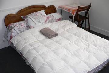 Maison D’hôte pour 3 Personnes dans Le Mesnil-Esnard, Région de Rouen, Photo 3