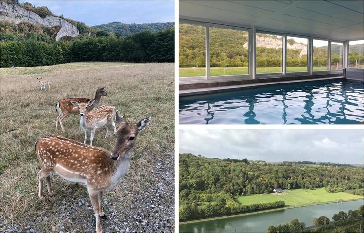 Location de vacances pour 2 personnes, avec jacuzzi ainsi que jardin et piscine dans Hastière-par-delà - 2