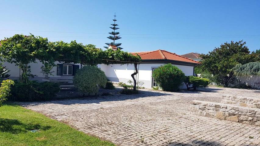 Location de vacances pour 10 personnes, avec jardin à Vila Praia de Ancora - 4