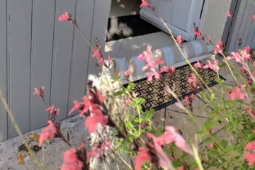 Chambre D’hôte pour 2 Personnes dans Saint-André-de-Lidon, Région de Saintes, Photo 4