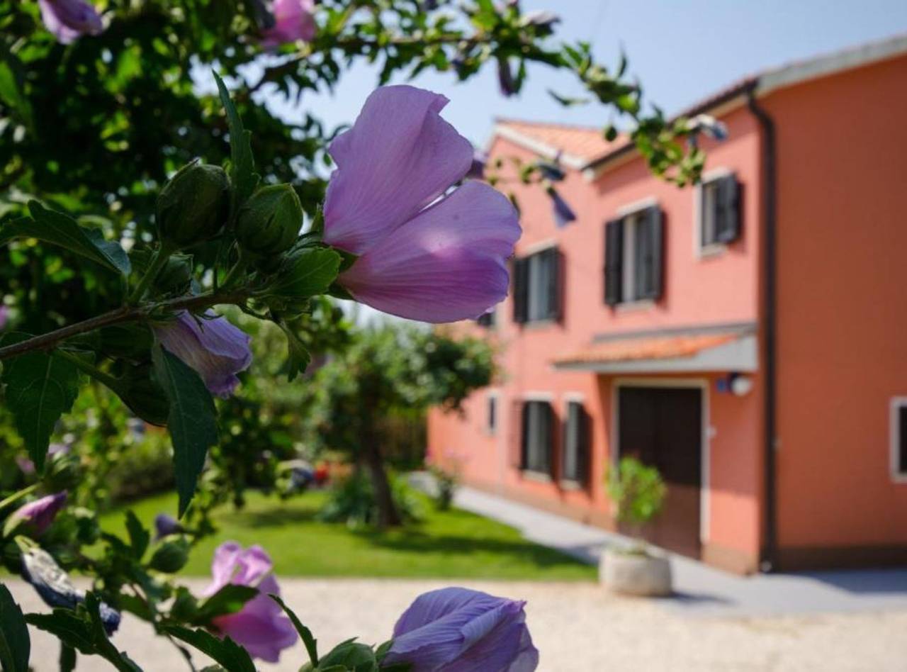 Villa für 10 Personen in Kanegra, Umag und Umgebung