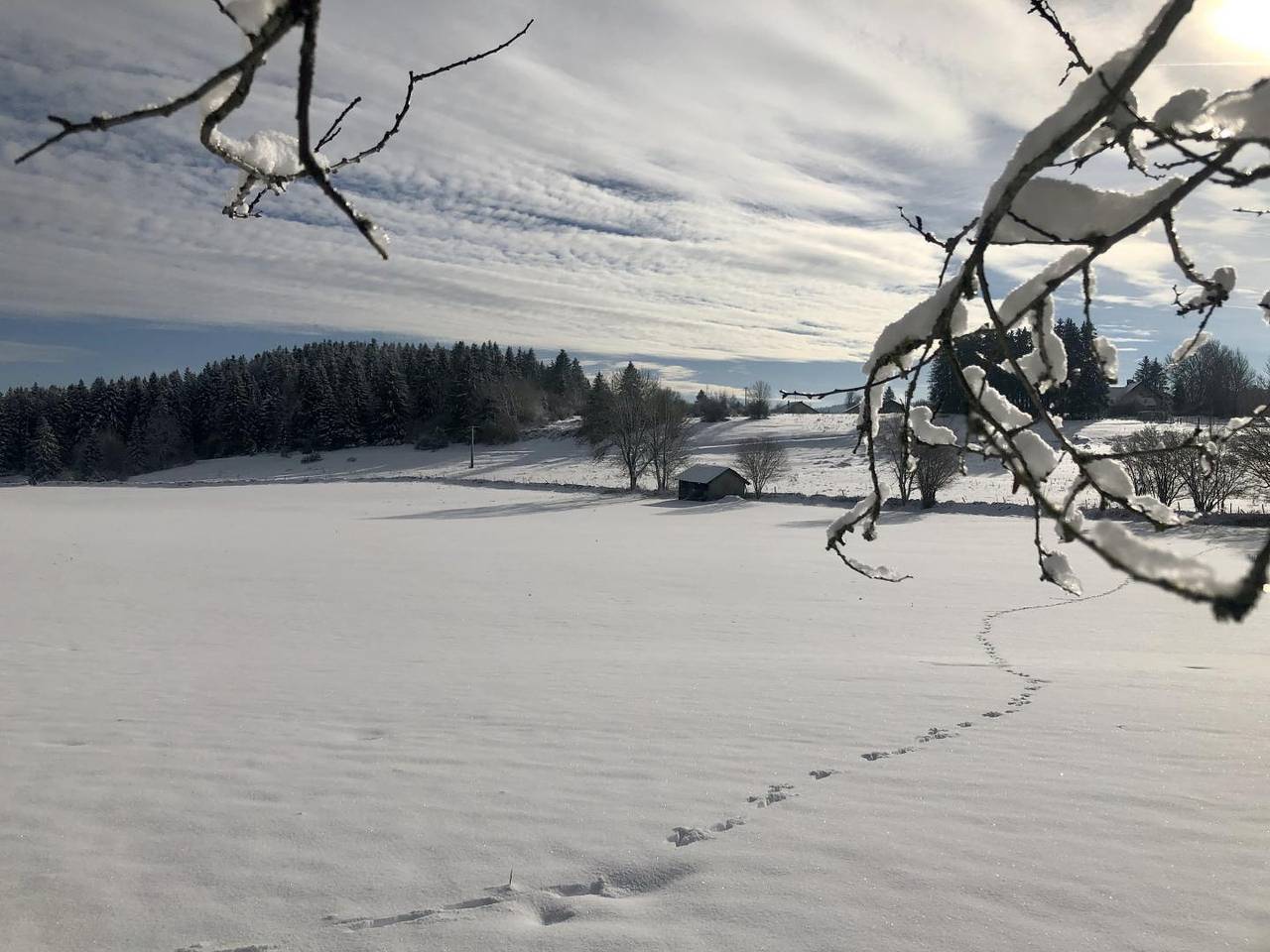 Les Noisetiers in Le Bizot, Doubs (desambiguación)