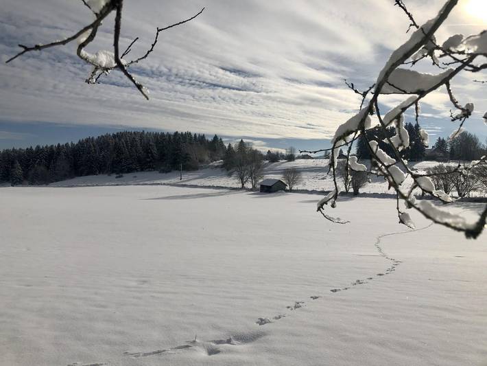 Chalet pour 4 personnes, avec terrasse ainsi que vue et jardin dans le Doubs - 3