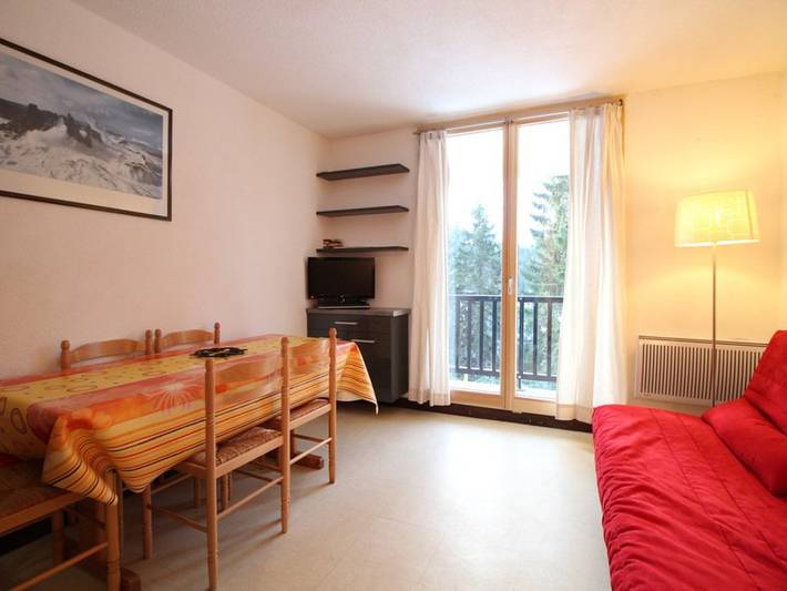 Location de vacances pour 5 personnes, avec Balcon et Terrasse dans Flaine