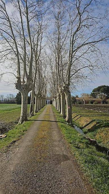 Location de vacances pour 6 personnes, avec piscine et terrasse, animaux acceptés à Saint-Martin-Lalande - 4