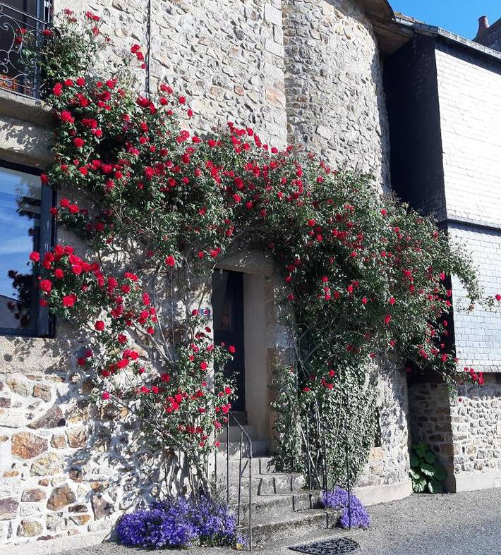 Chambre d’hôte pour 4 personnes, avec jardin dans La Gravelle