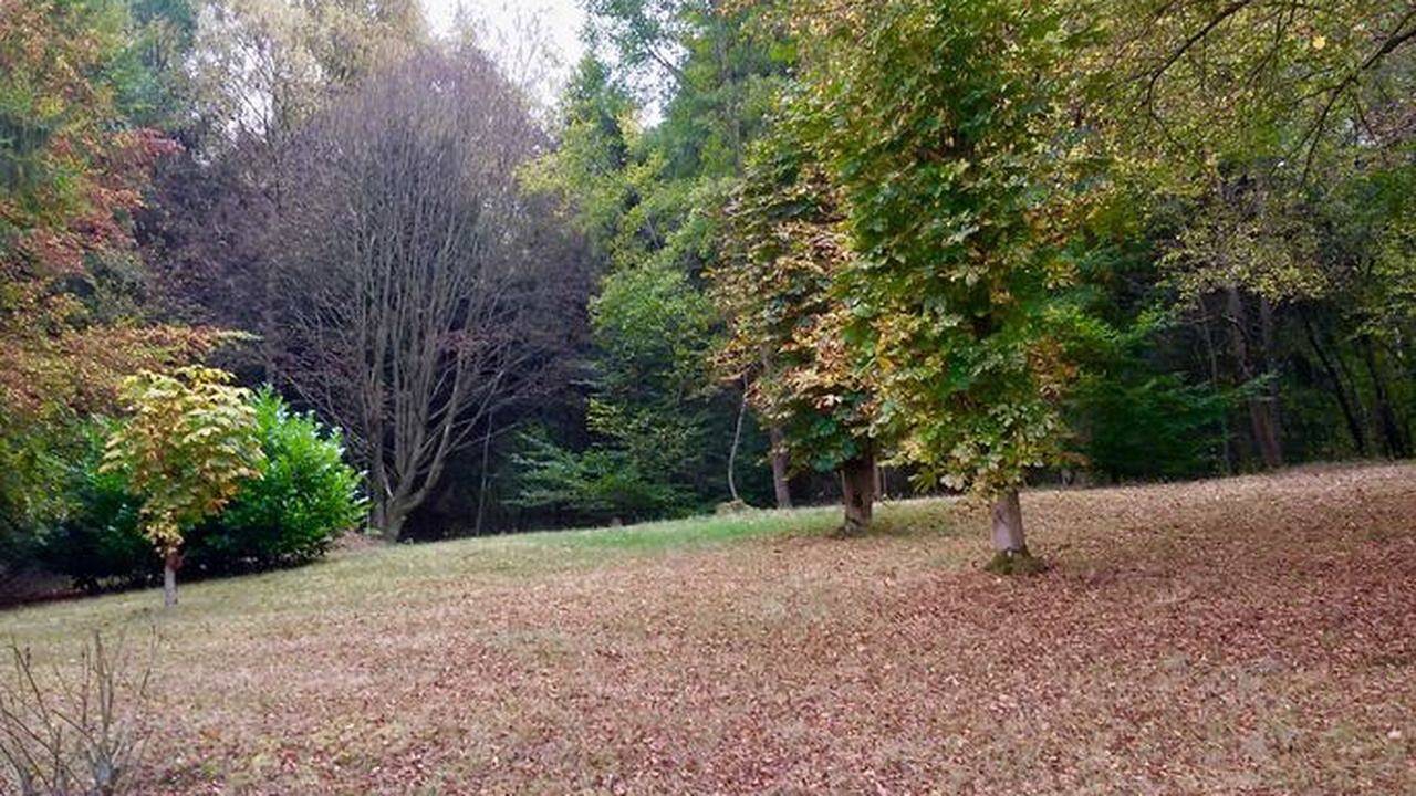 Ferienhaus für 6 Personen (90 m²) in Monschau in Montjoie (Eifel), Naturpark Hohes Venn-Eifel