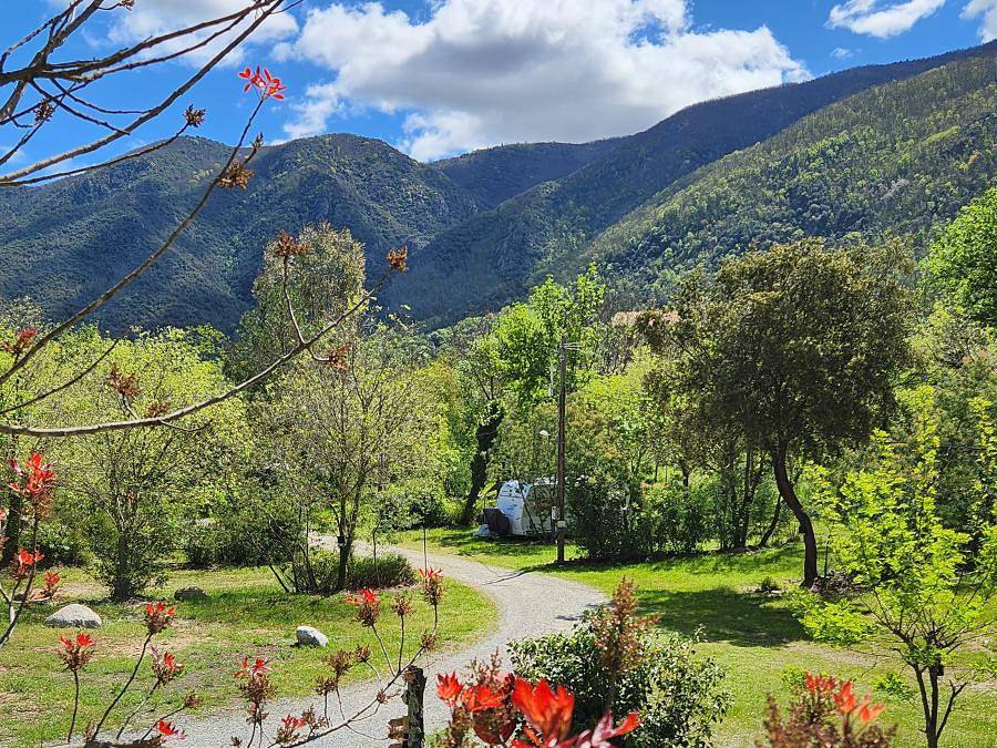 Camping du Riuferrer - Bungalow toilé 4 personnes - Marquise in Arles-sur-Tech, Région de Céret