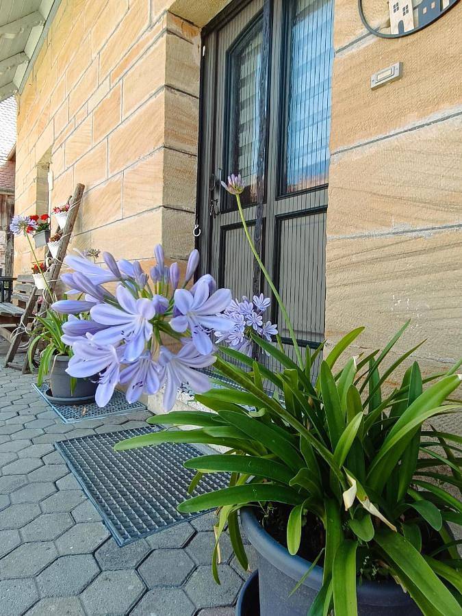 Ferienhaus Mitteldachstetten, ruhige Lage, kostenlos parken, Wlan free in Oberdachstetten, Romantische Straße