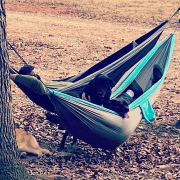 Camping for 6 Guests in Georgia, USA, Picture 3