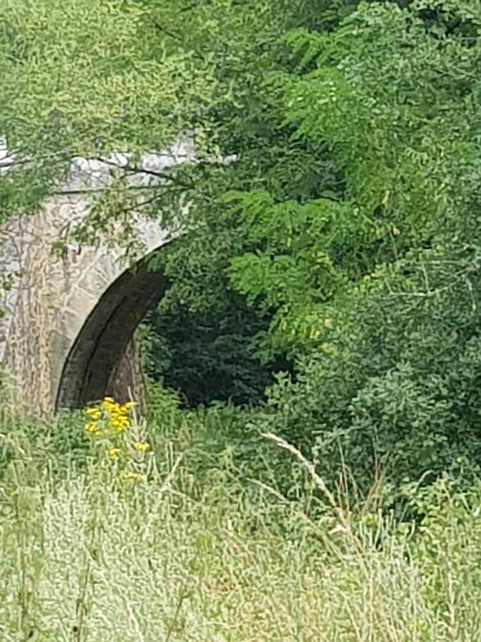 Location de vacances pour 5 personnes, avec jardin et vue à Bas-en-Basset - 2