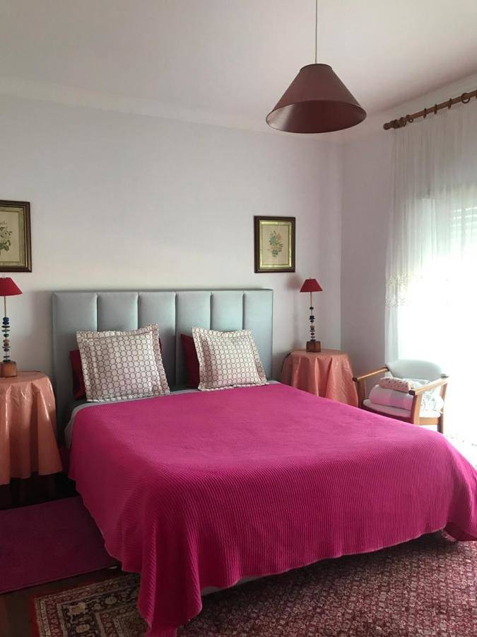 Maison d’hôte pour 2 personnes, avec terrasse et jardin, animaux acceptés à Nazaré - 4