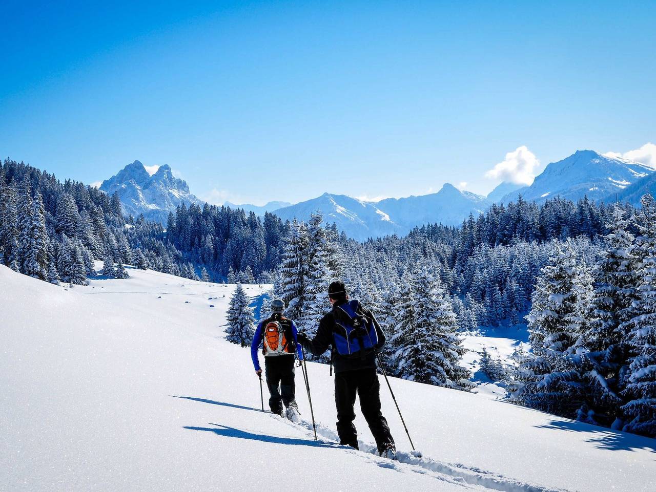 Hotel Bogner Hof - Almboden in Tannheim (Tirol), Allgäuer Alpen (Österreich)