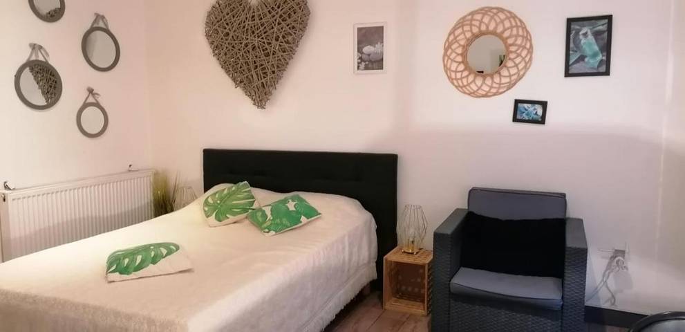 Location de vacances pour 5 personnes, avec piscine et jardin à Chasseneuil-du-Poitou - 3