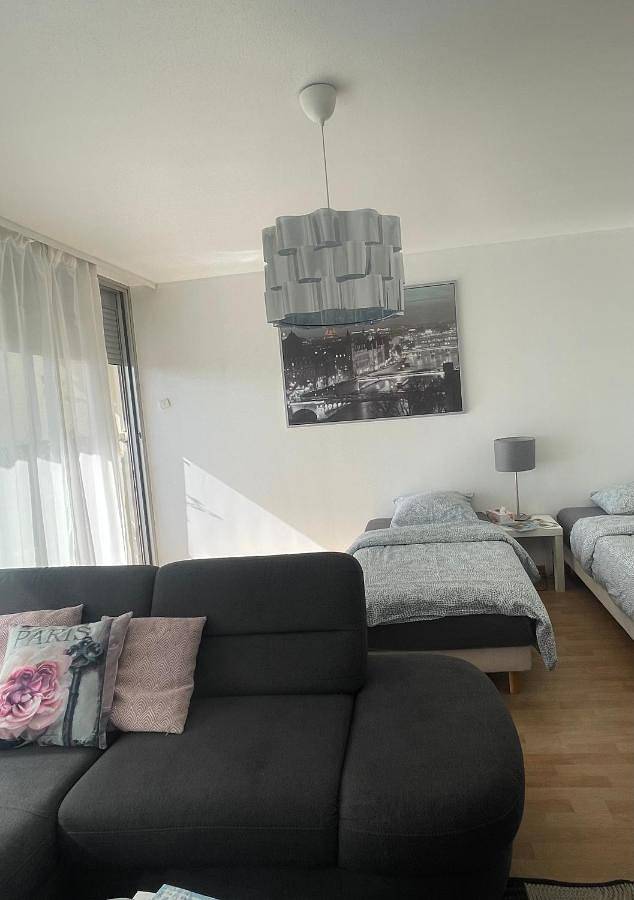 Appartement entier, Bel Appartement near Bâle Mulhouse Airport in Saint-Louis, Région de Mulhouse