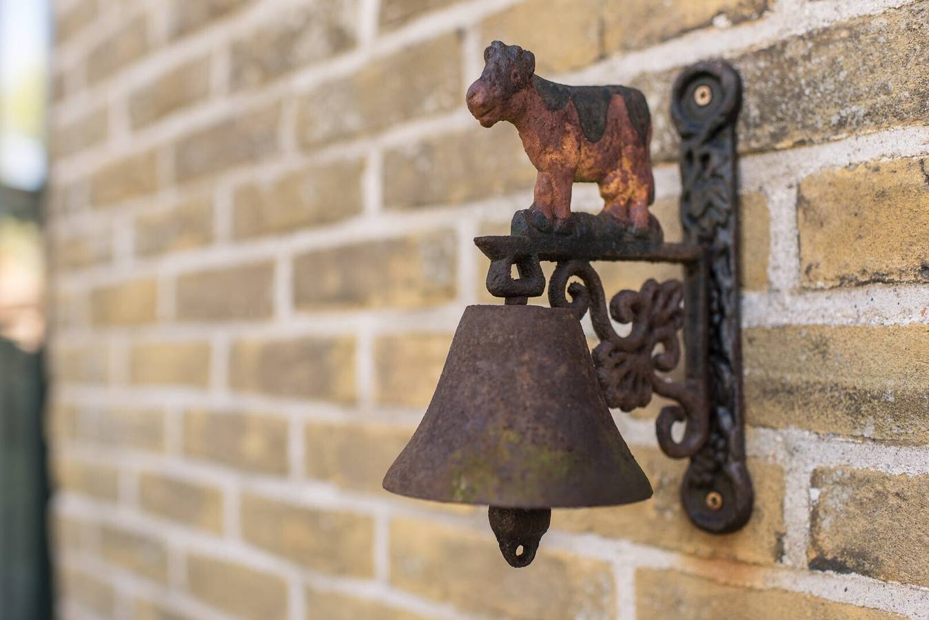 Eilandverhuur — Nooitgedacht (6p) in Ballum, Nederlandse waddeneilanden