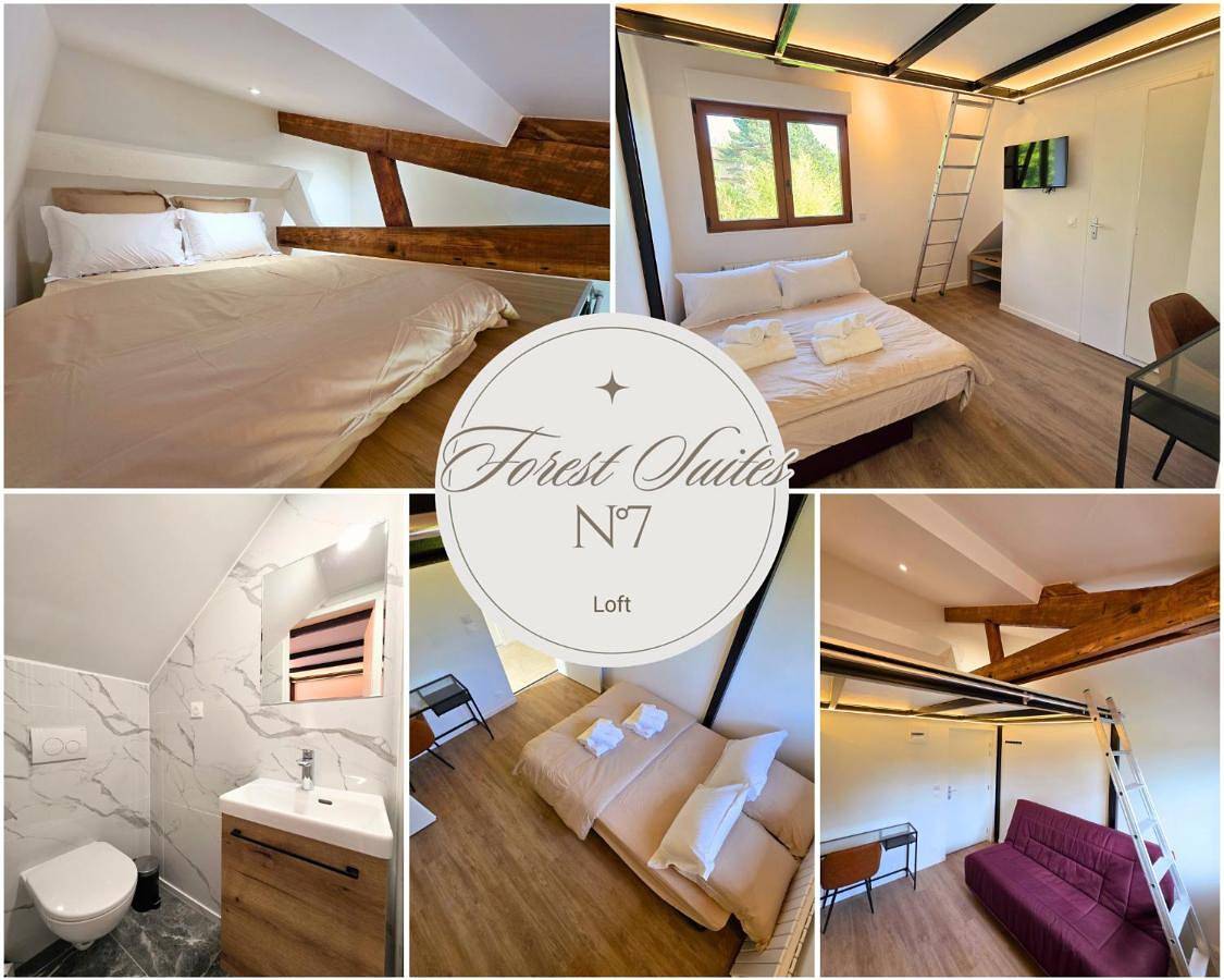 Forest Suites, 12 Studios, Paris et Disney in Noisy-le-Grand, Seine-Saint-Denis