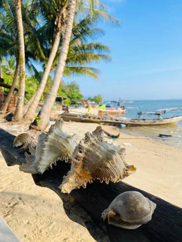 Gîte pour 2 personnes, avec vue et balcon dans Ko Mook