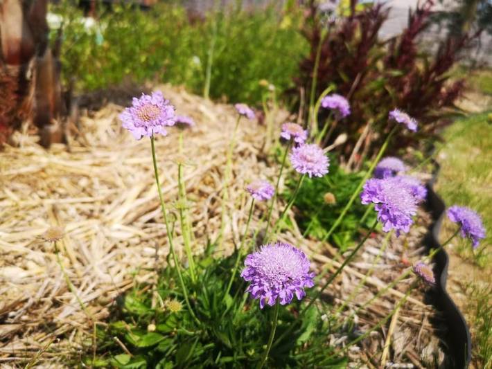 Location de vacances pour 2 personnes, avec terrasse et piscine à Longué-Jumelles - 2