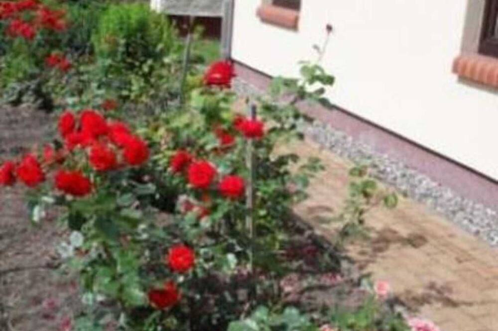 Doppelhaushälfte in idyllischer Dorflage, separater Eingang - Ferienwohnung in Groß Tessin, Reimershagen