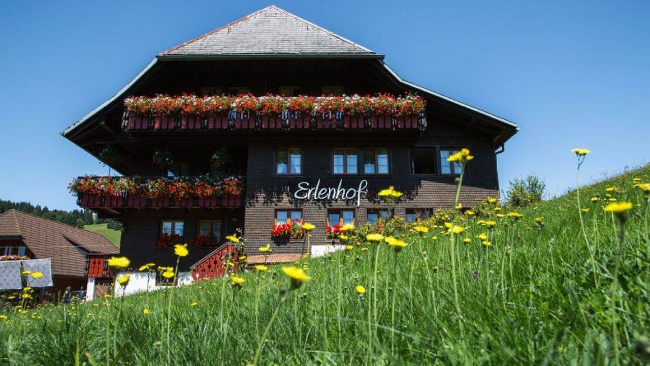 Ganze Ferienwohnung, Ferienwohnung für 4 Personen (38 m²) in Todtnau in Suedlicher Schwarzwald, Todtnau