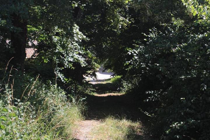 Location de vacances pour 5 personnes, avec vue et jardin à Saint-Thomas-de-Conac - 2