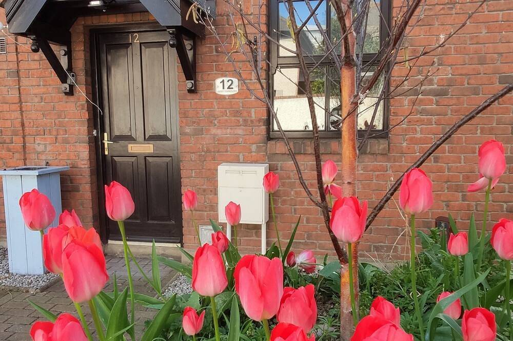 Quiet City Townhouse within 5 mins of all attractions in Dublin, County Dublin