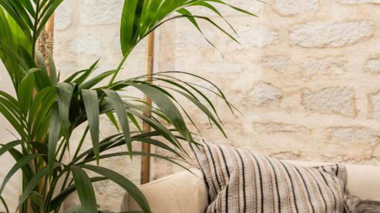 Ferienhaus für 2 Personen (20 m²) in Pakostane in Pakostane, Zadar