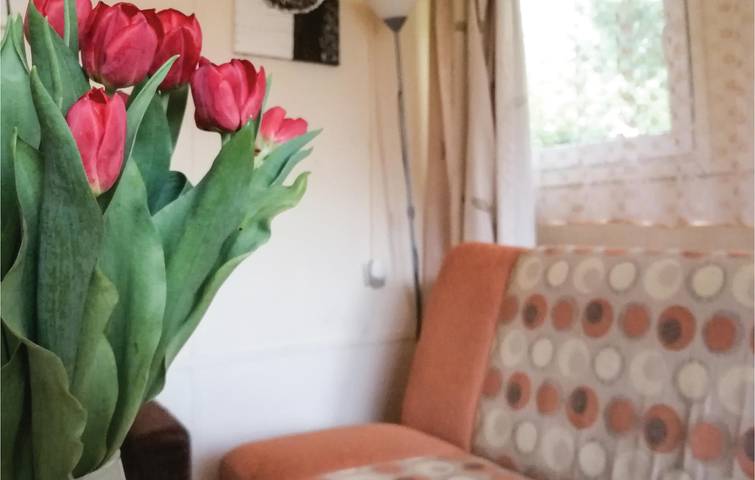 Ferienhaus für 2 Personen mit Terrasse in Seenplatte von Ilawa
