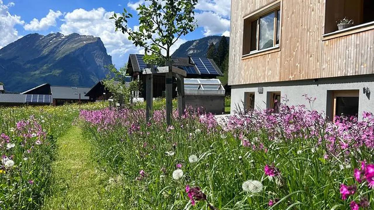 Ganze Ferienwohnung, Ferienwohnung für 4 Personen (60 m²) in Schoppernau in Schoppernau, Bregenzerwald