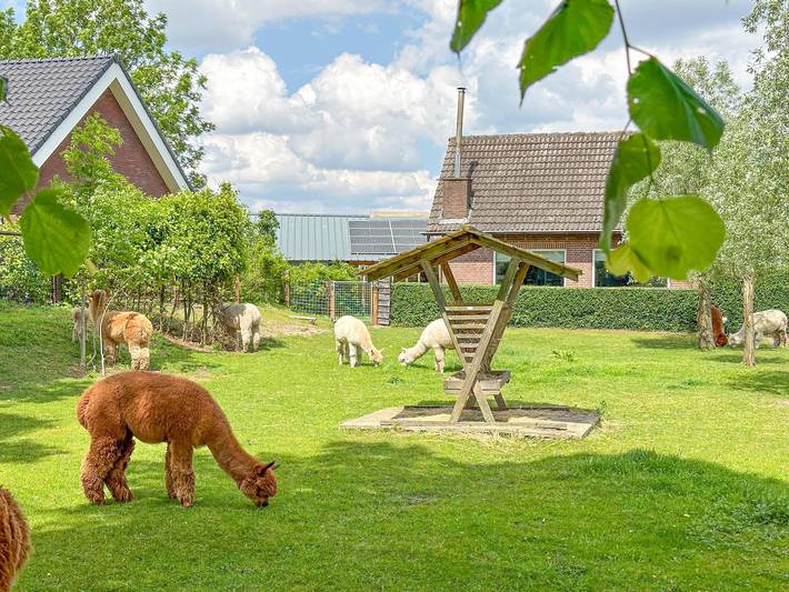 Vakantiehuis voor 6 personen, met Terras en Tuin in Schijndel