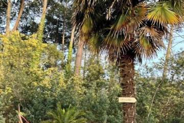 Chambre D’hôte pour 2 Personnes dans Seignosse, Région de Dax, Photo 4