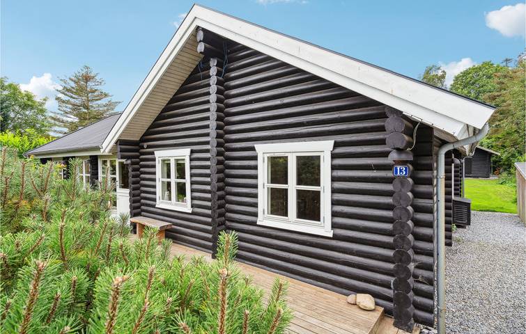 Ferienhaus für 6 Personen, mit Whirlpool und Terrasse sowie Garten und Sauna in Råbylille Strand - 4