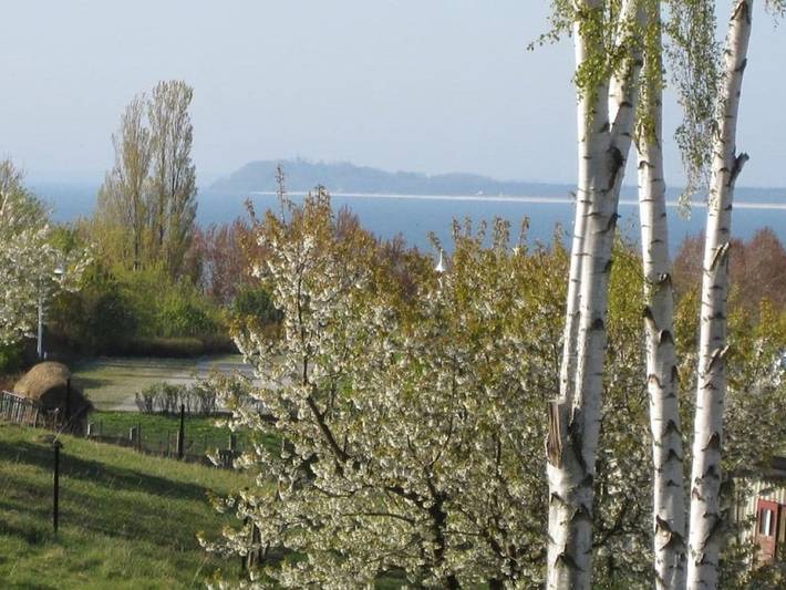 Ferienhaus für 4 Personen, mit Balkon und Pool sowie Sauna in Göhren - 2