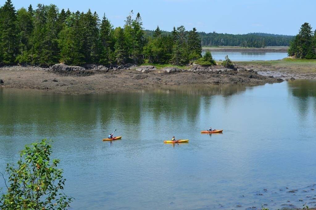 Einzigartige Ansichten! Privates Küstenschutzgebiet und Paradies für Naturliebhaber in Washington County (Maine)